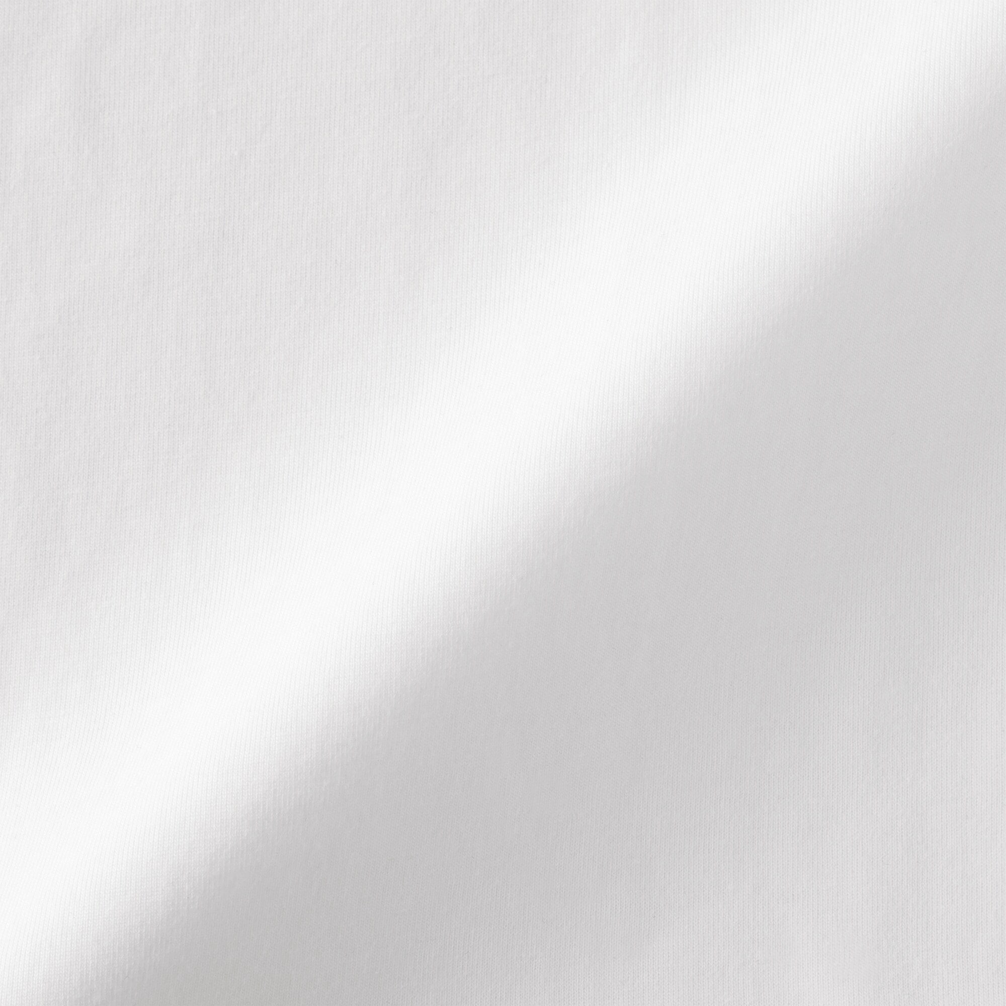 婦人　天竺編みクルーネック長袖Ｔシャツ