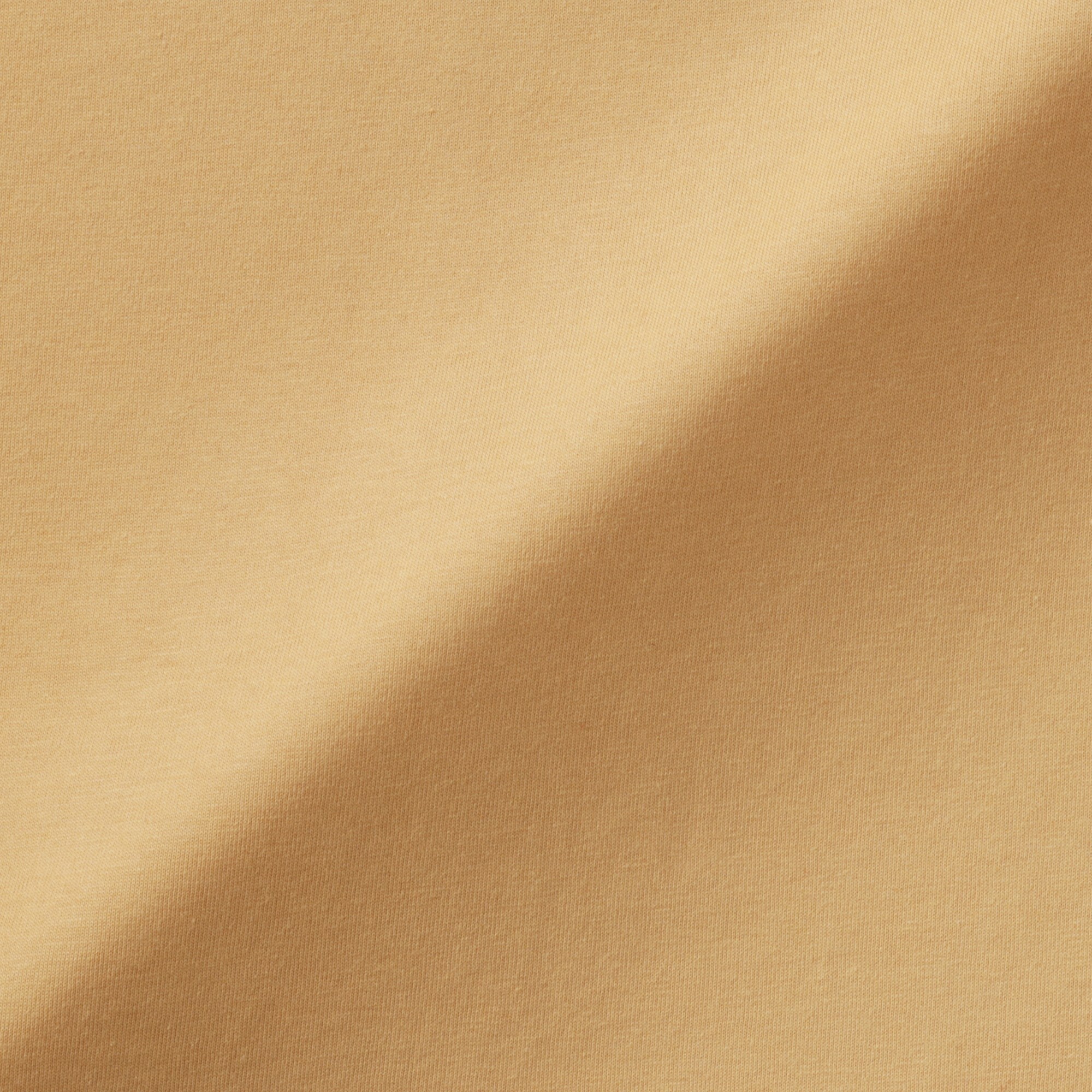 婦人　天竺編みクルーネック長袖Ｔシャツ