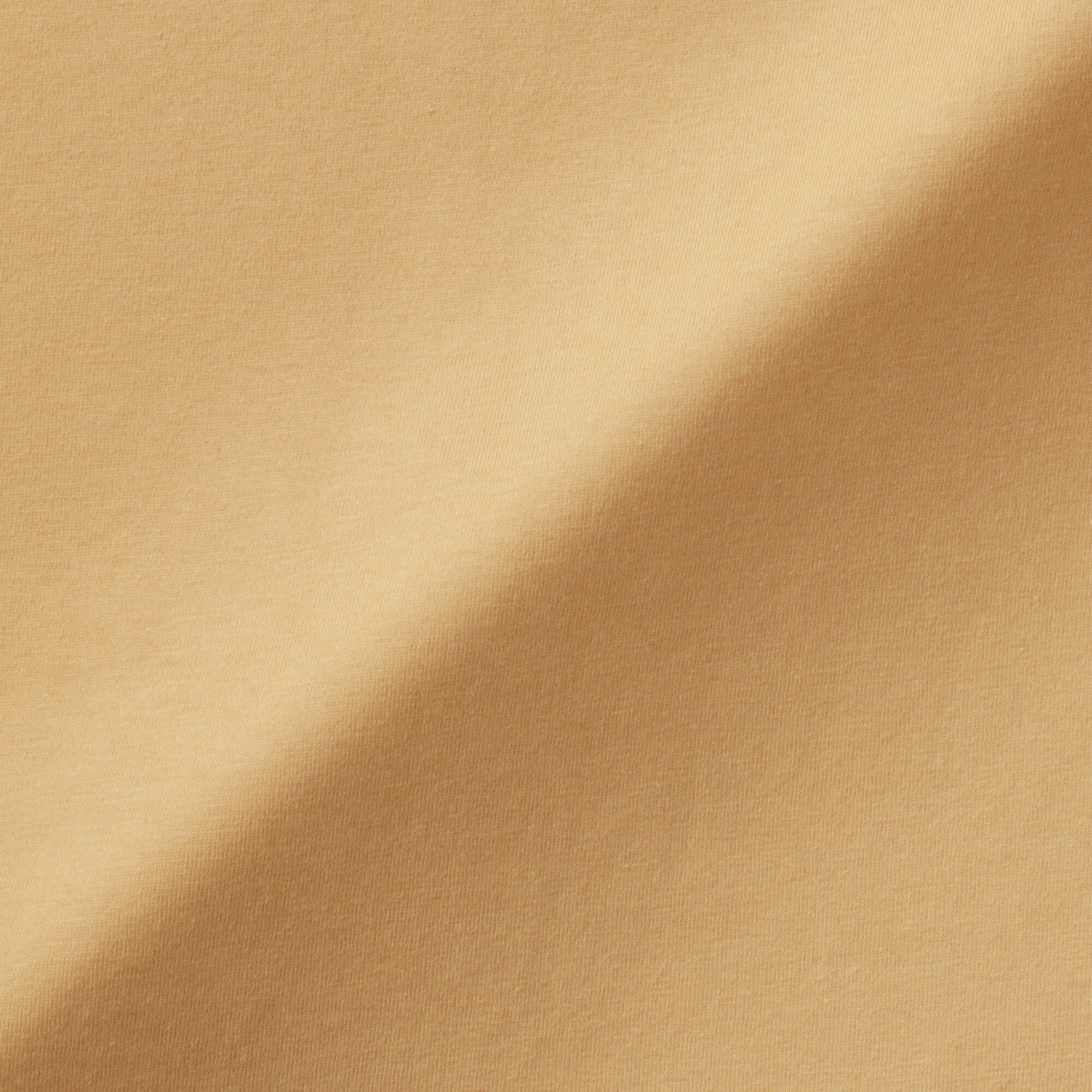 婦人　天竺編みクルーネック長袖Ｔシャツ