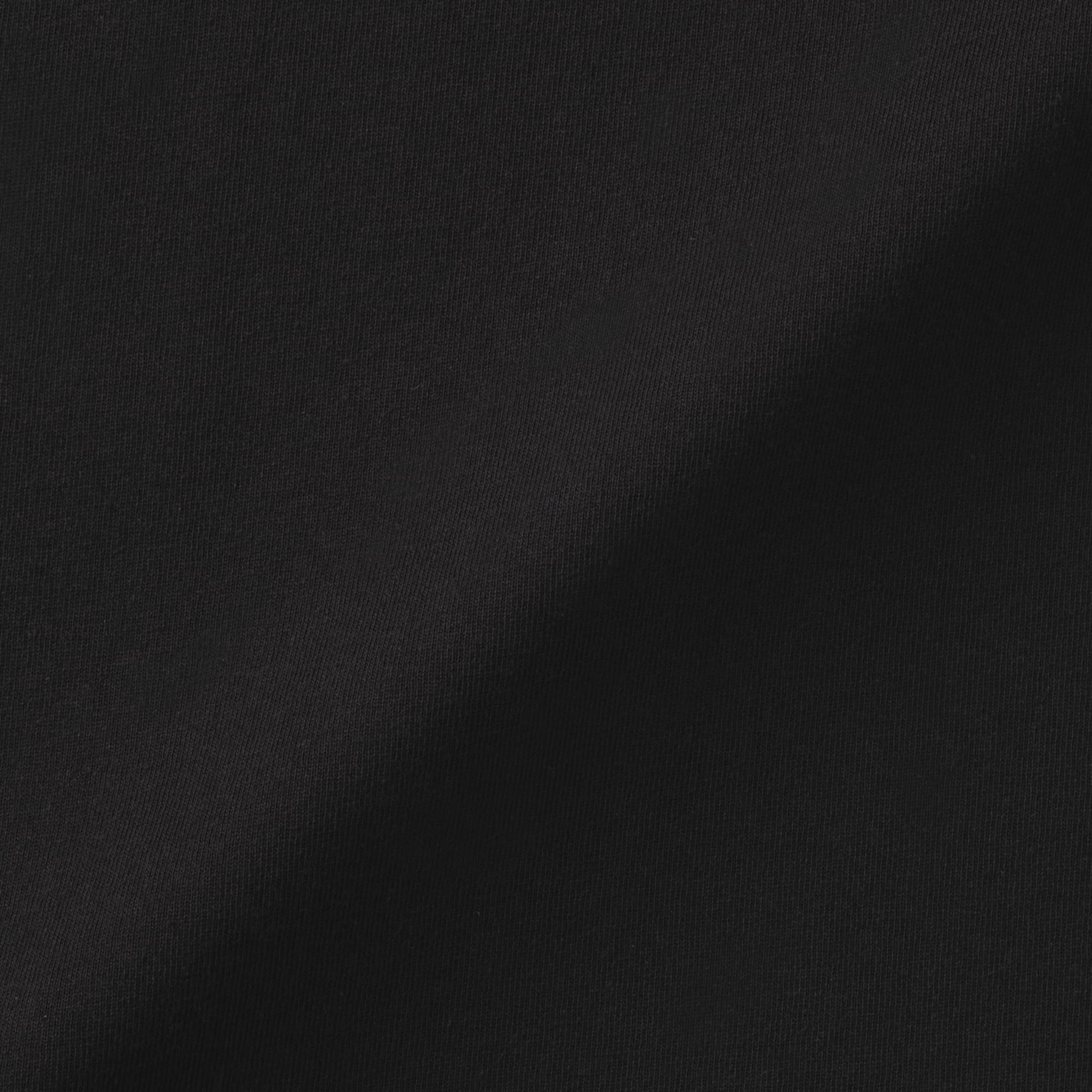 婦人　引き揃え天竺編みクルーネック長袖Ｔシャツ