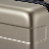 バーを自由に調節できる　ハードキャリーケース（３６Ｌ）
