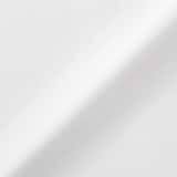 婦人　洗いざらし　ブロードレギュラーカラー長袖シャツ