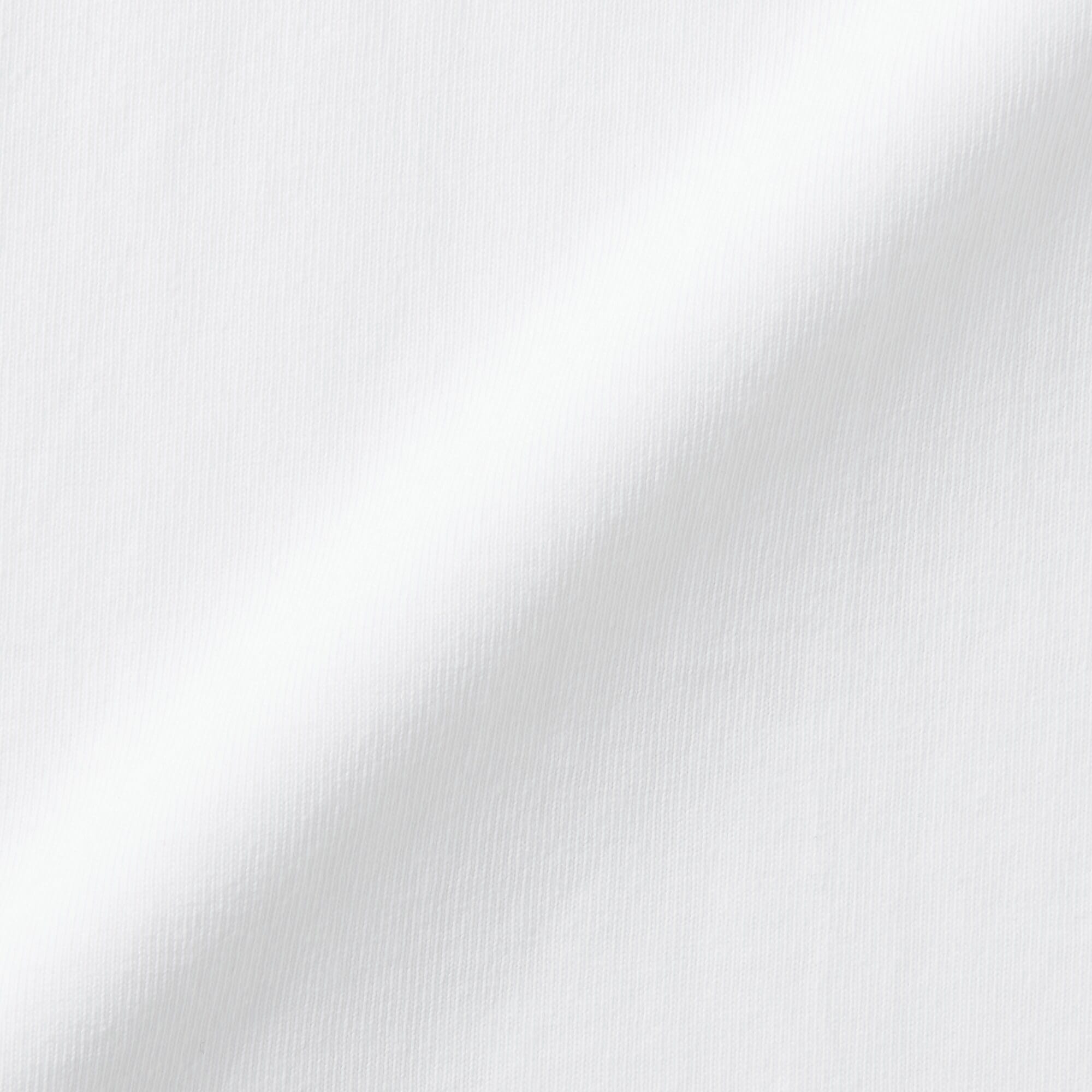 紳士　洗いざらし太番手クルーネック半袖Ｔシャツ