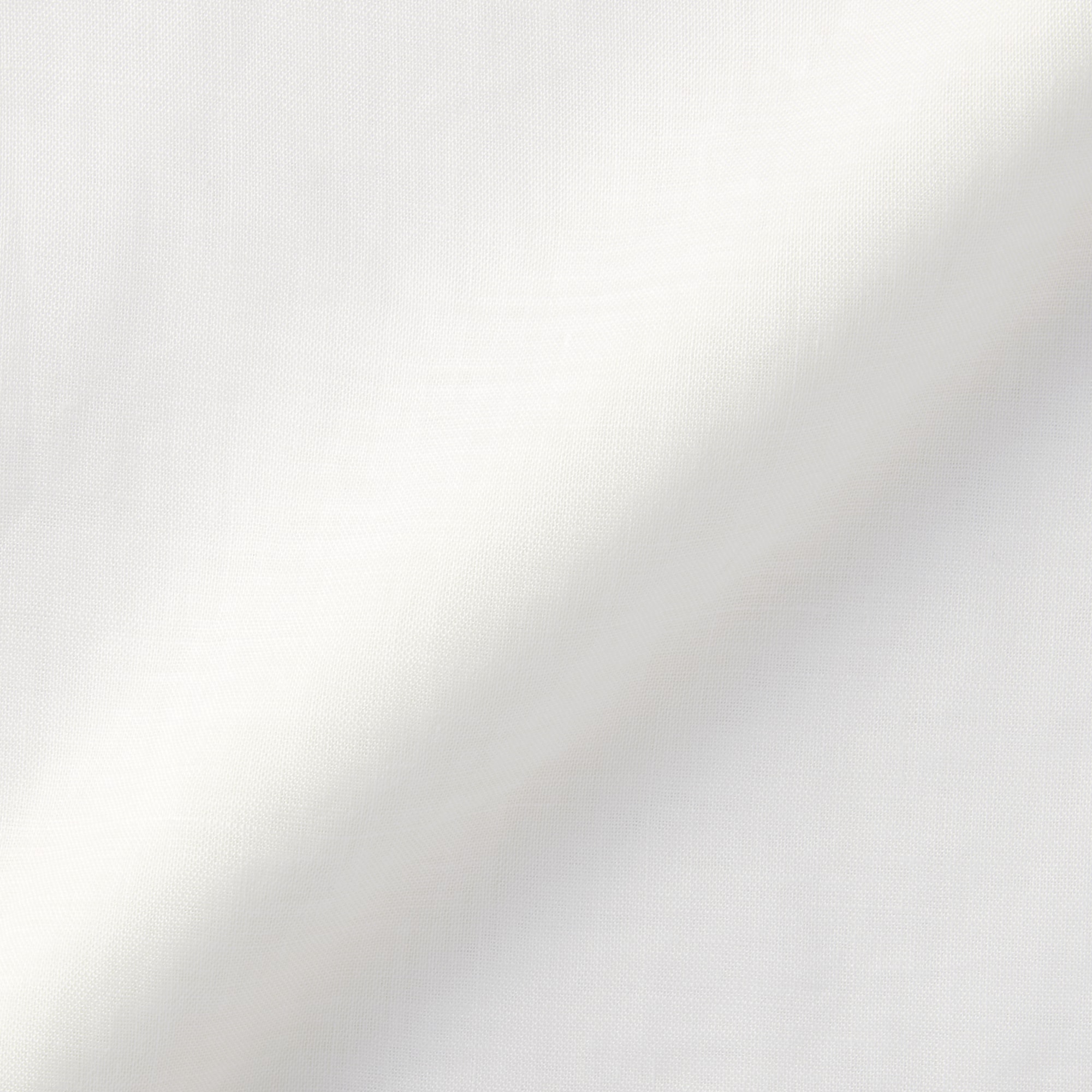 婦人　ラミーギャザーブラウス