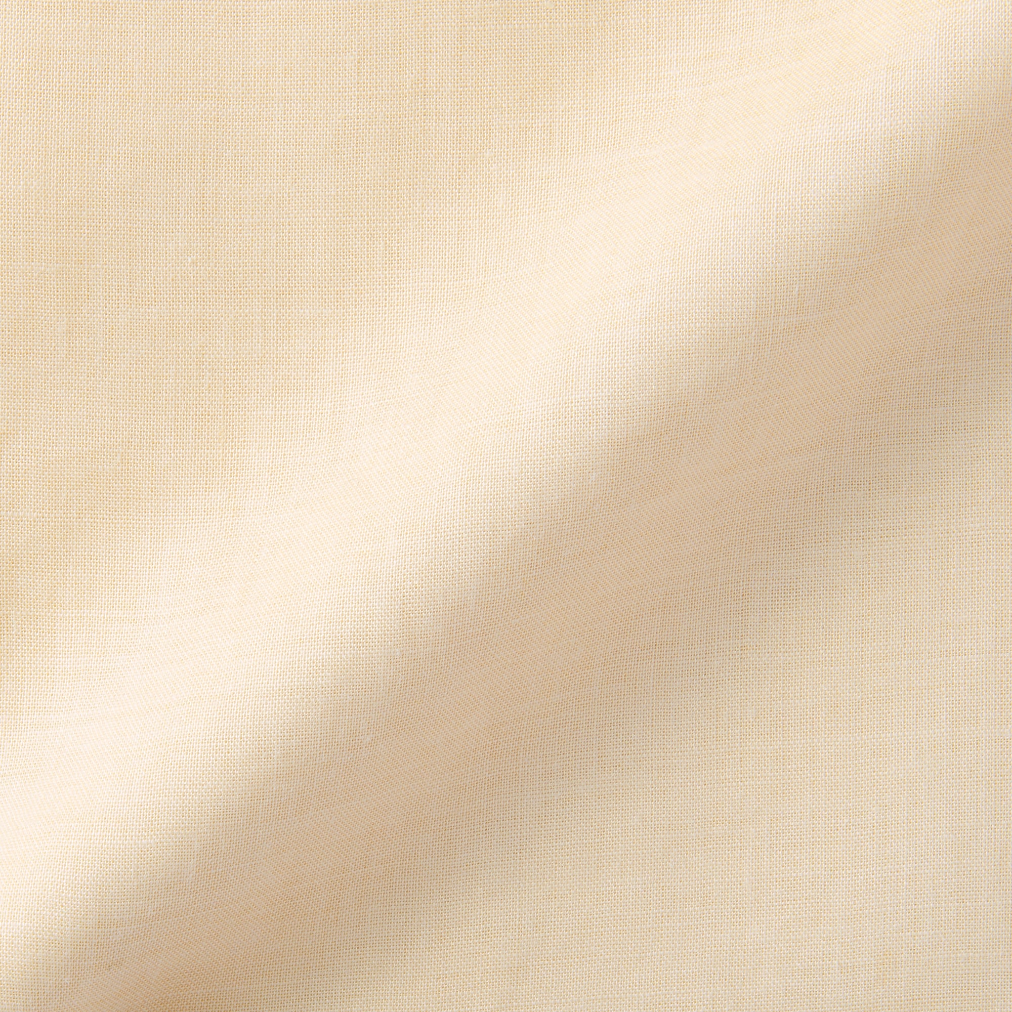 婦人　ラミーギャザーブラウス