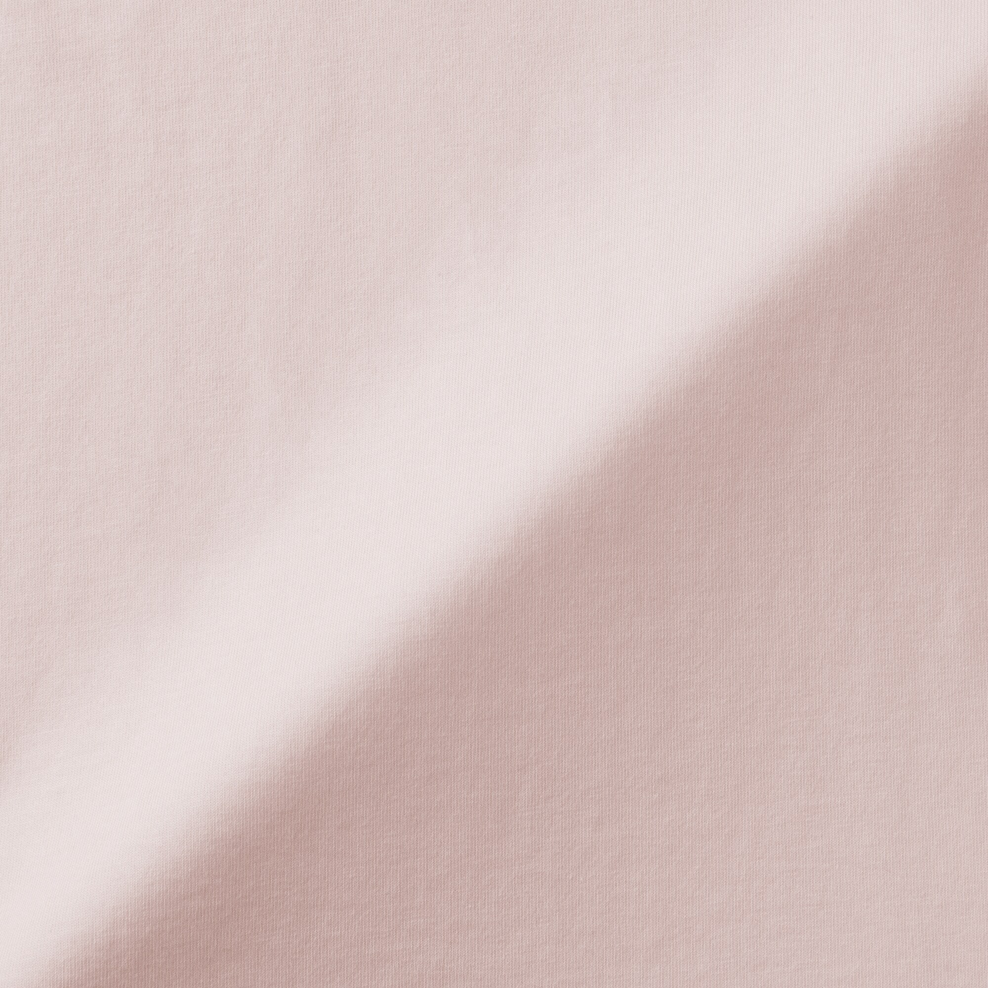 婦人　天竺編みクルーネック半袖Ｔシャツ