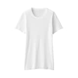 婦人　強撚コットンニット半袖プルオーバー