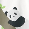 柔白