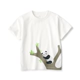 キッズ　天竺編みプリント半袖Ｔシャツ