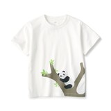 キッズ　天竺編みプリント半袖Ｔシャツ