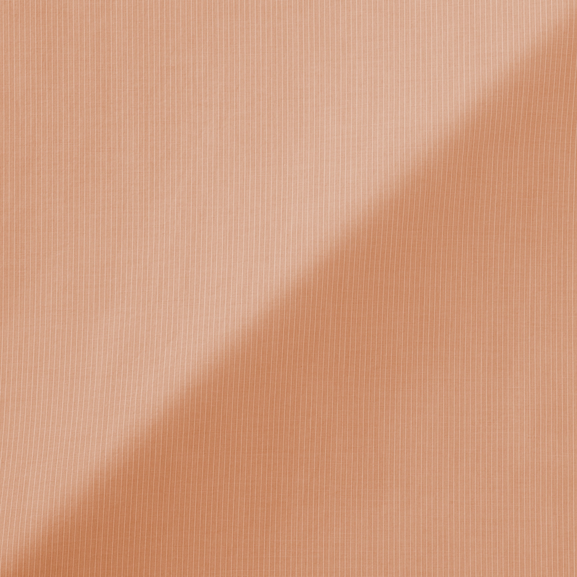 婦人　涼感　半袖ブラウス