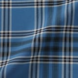 婦人　マドラスチェックフレアスカート