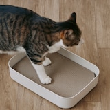 ダンボール　爪とぎ