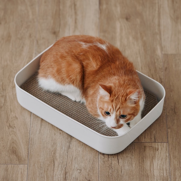 ペット用品