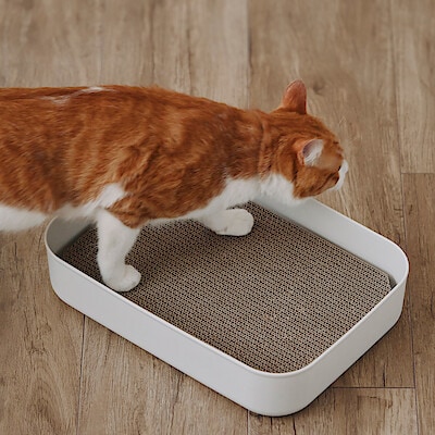 【猫用】ダンボール　爪とぎ　２個セット