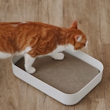 ダンボール　爪とぎ