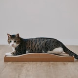 ダンボール　爪とぎベッド