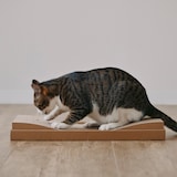 ダンボール　爪とぎベッド