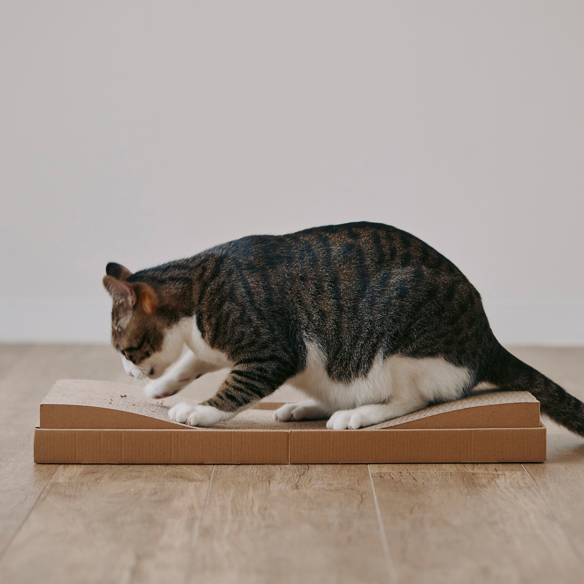 ダンボール　爪とぎベッド