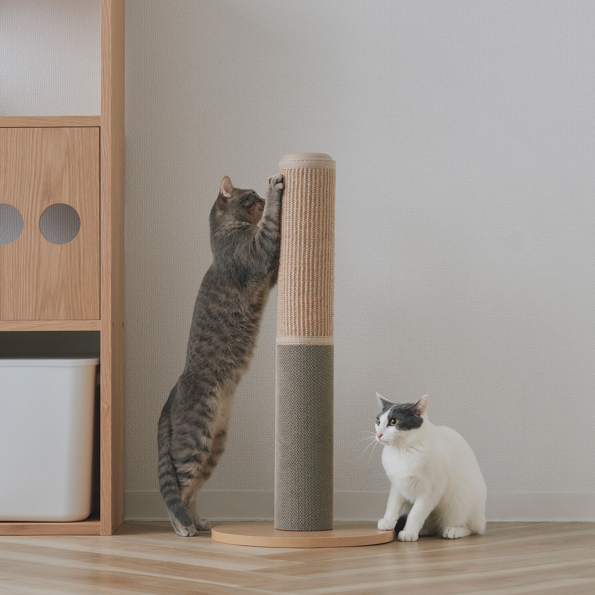 ジュート麻・ダンボール　爪とぎポール