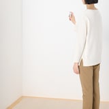 コバエ駆除スプレー