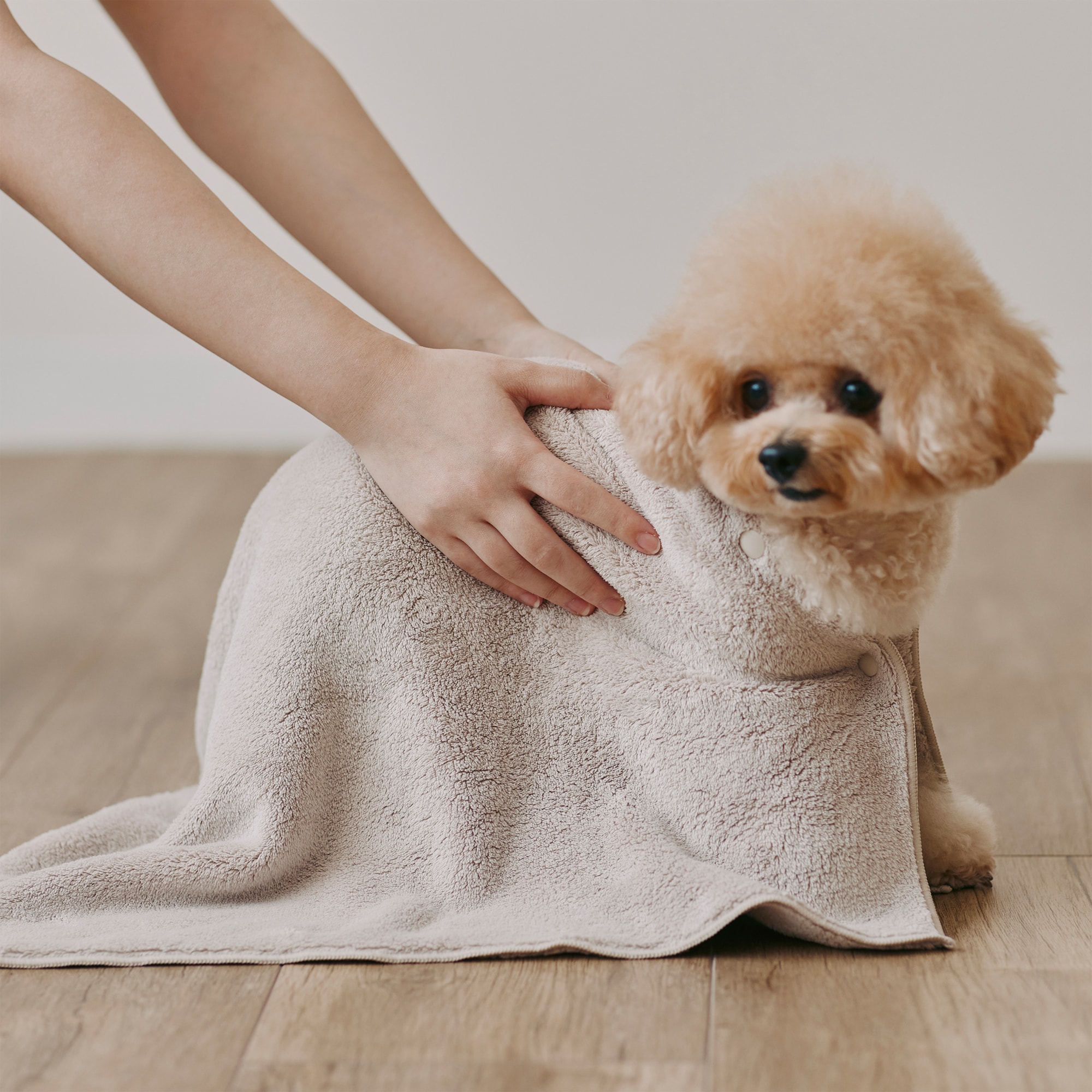 マイクロファイバー　スナップボタン付ペット用タオル　小