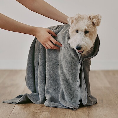 【犬猫兼用】マイクロファイバー　スナップボタン付ペット用タオル　大　７２×１０２ｃｍ