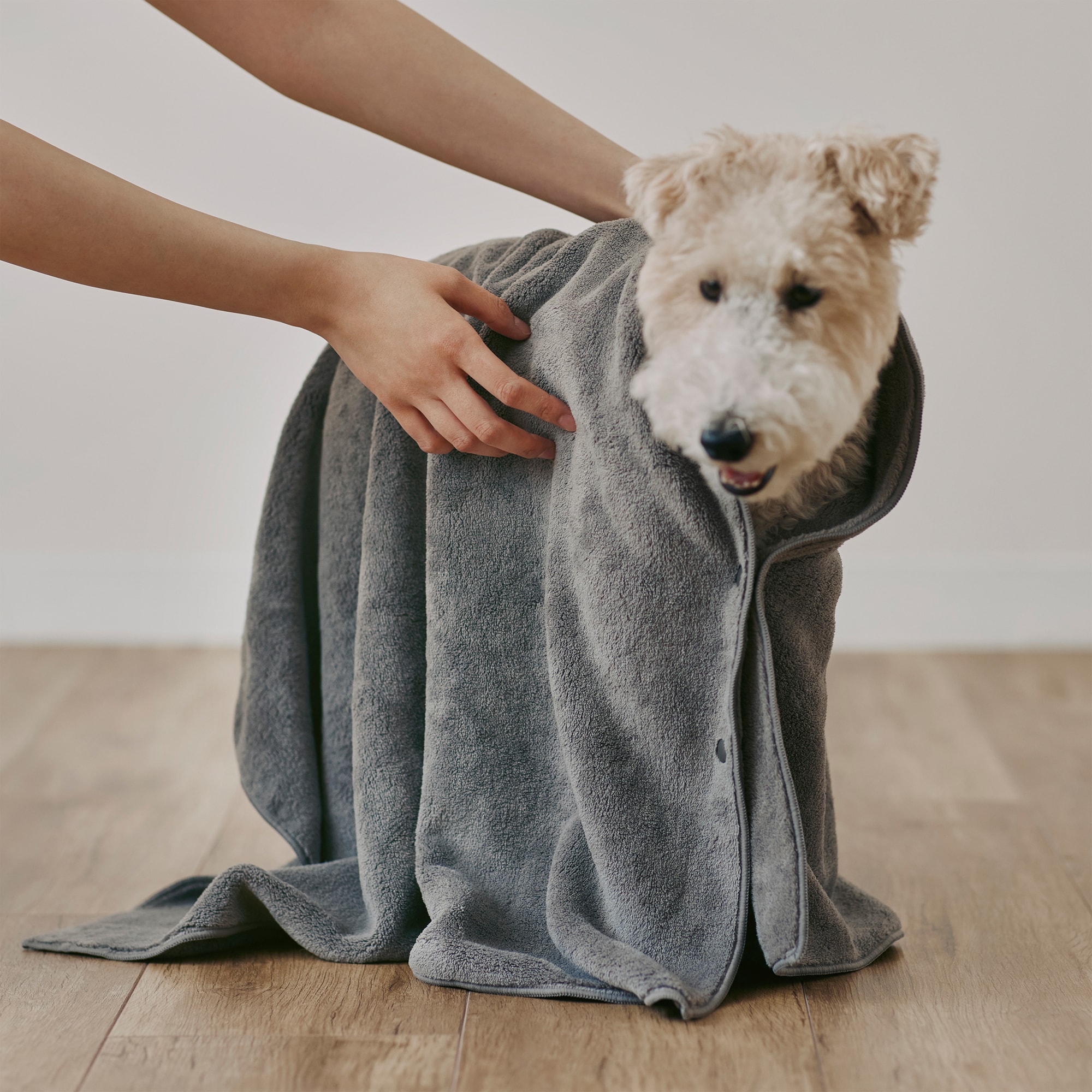 マイクロファイバー　スナップボタン付ペット用タオル　大