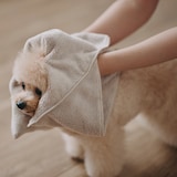 マイクロファイバー　ポケット付ペット用タオル