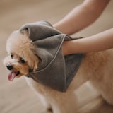 マイクロファイバー　ポケット付ペット用タオル