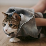 マイクロファイバー　ポケット付ペット用タオル