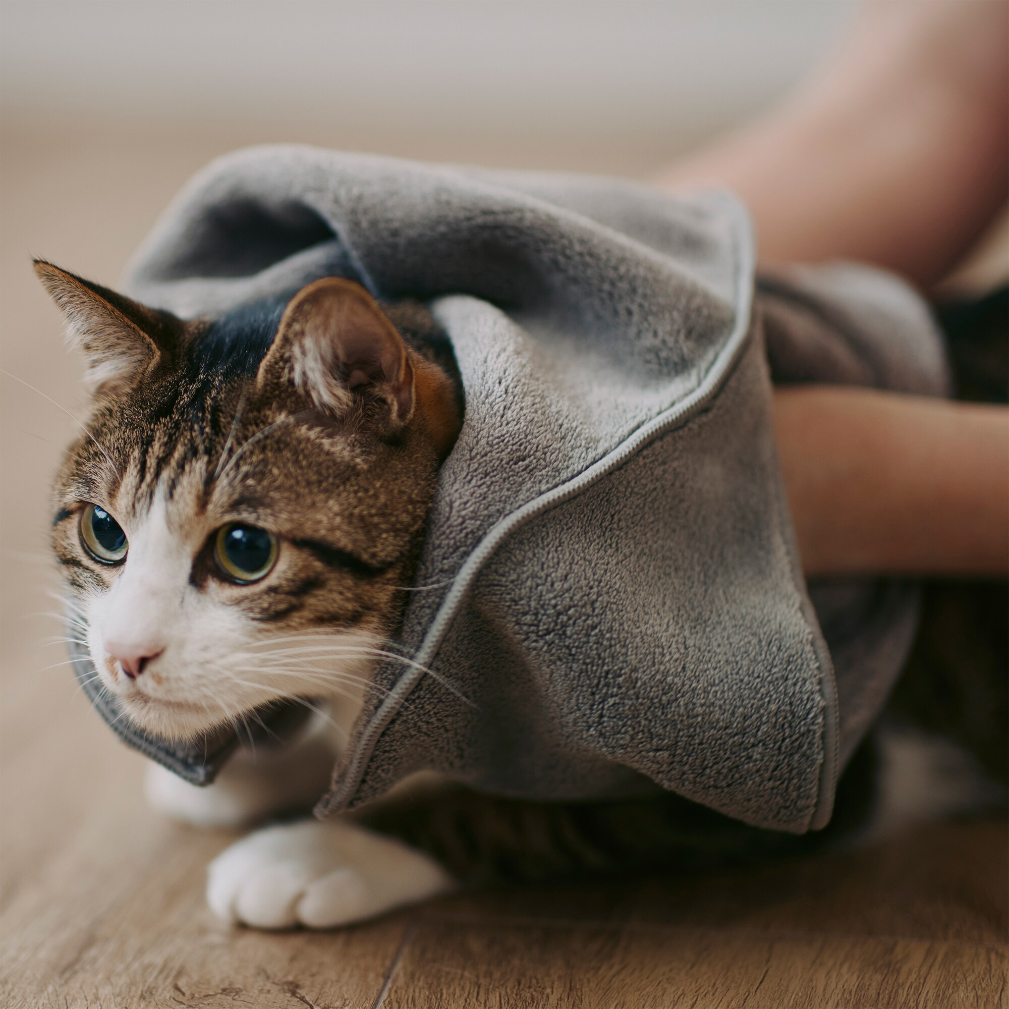 マイクロファイバー　ポケット付ペット用タオル