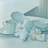 ［ＩＤＥＥ］ａｃｔｕｅｌ　ｓａｂｌｅオクトゴナルプレート　１８ｃｍ