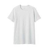 紳士　さらっと綿　クルーネック半袖Ｔシャツ