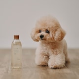 ペット用　リンスインシャンプー