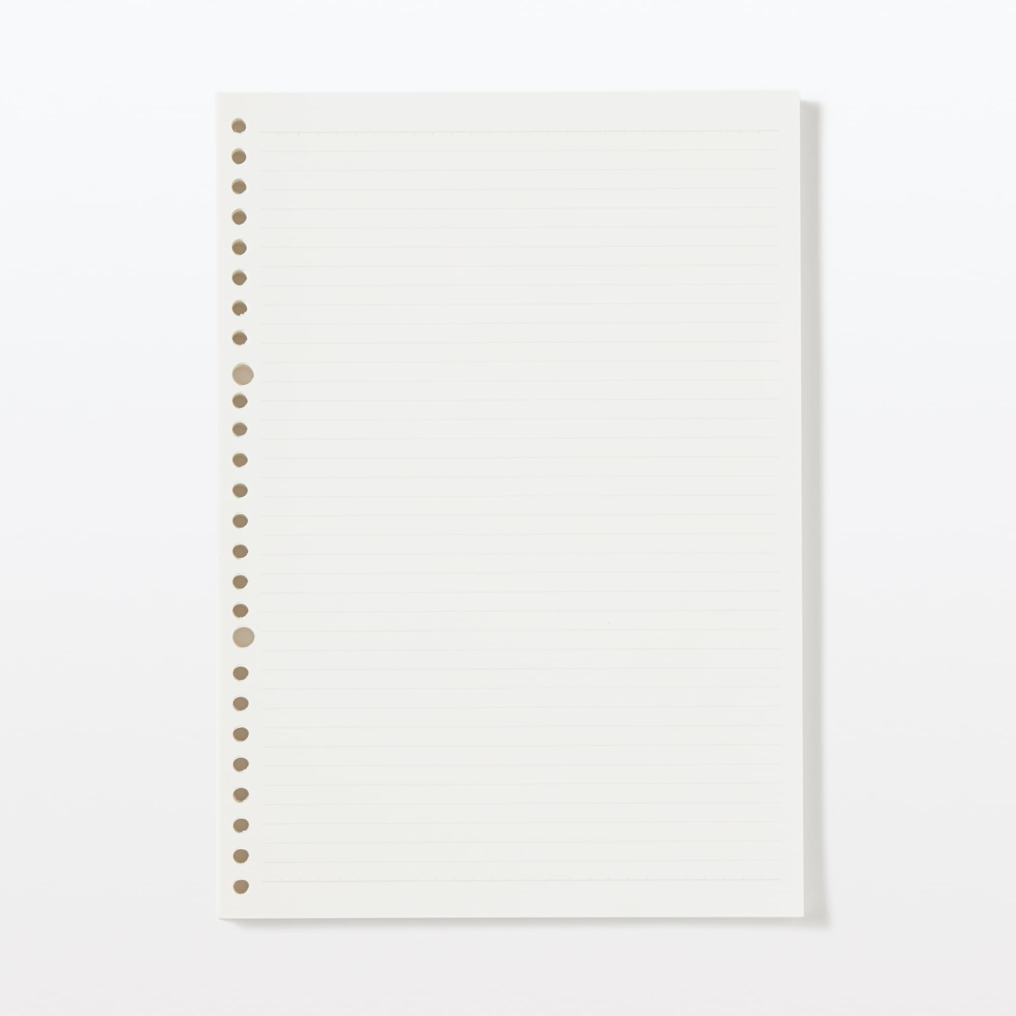 植林木ペーパー　ルーズリーフ