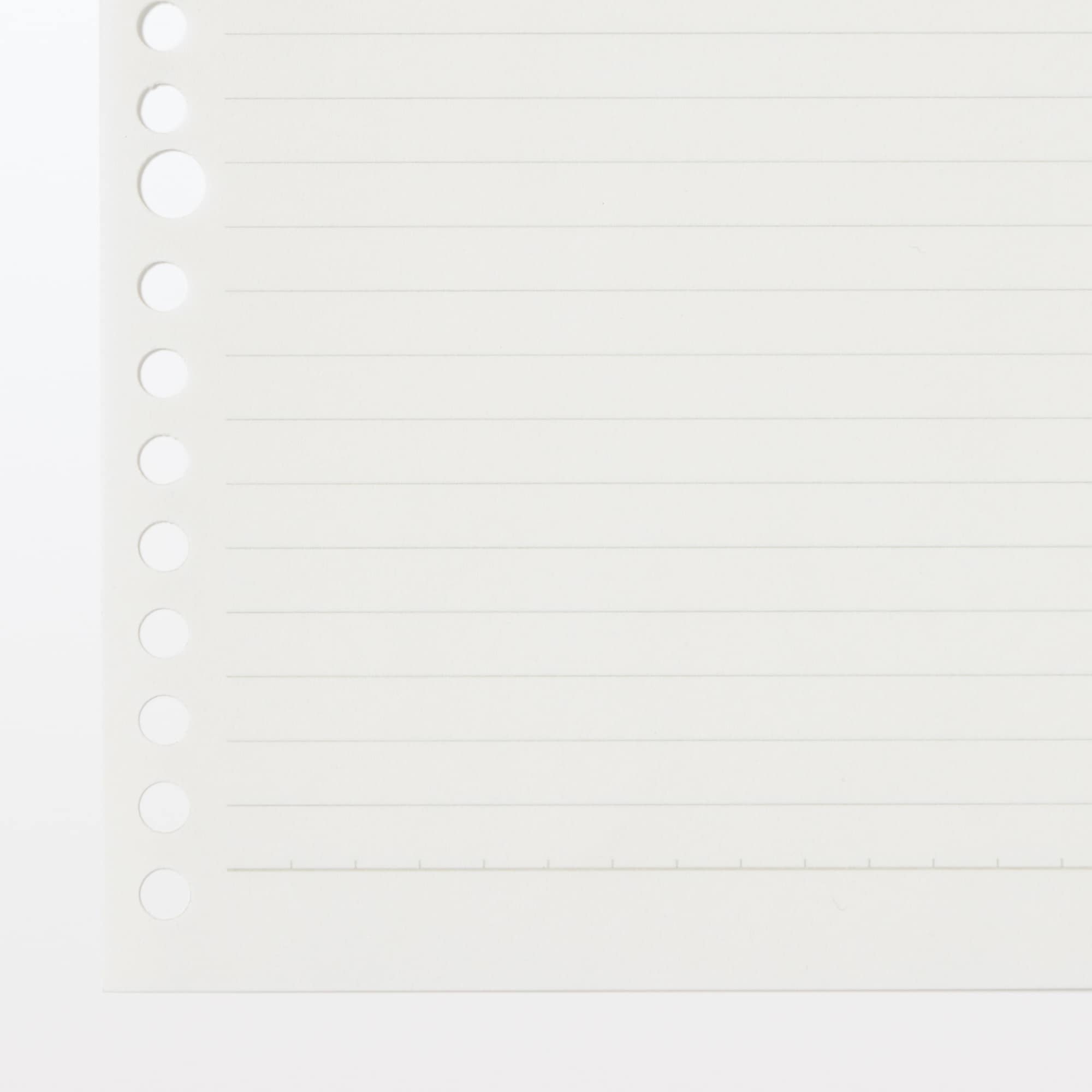 植林木ペーパー　ルーズリーフ