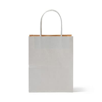 【１０月上旬発売予定】紙袋　大　３枚　約幅１３．５×奥行８×高さ１７ｃｍ