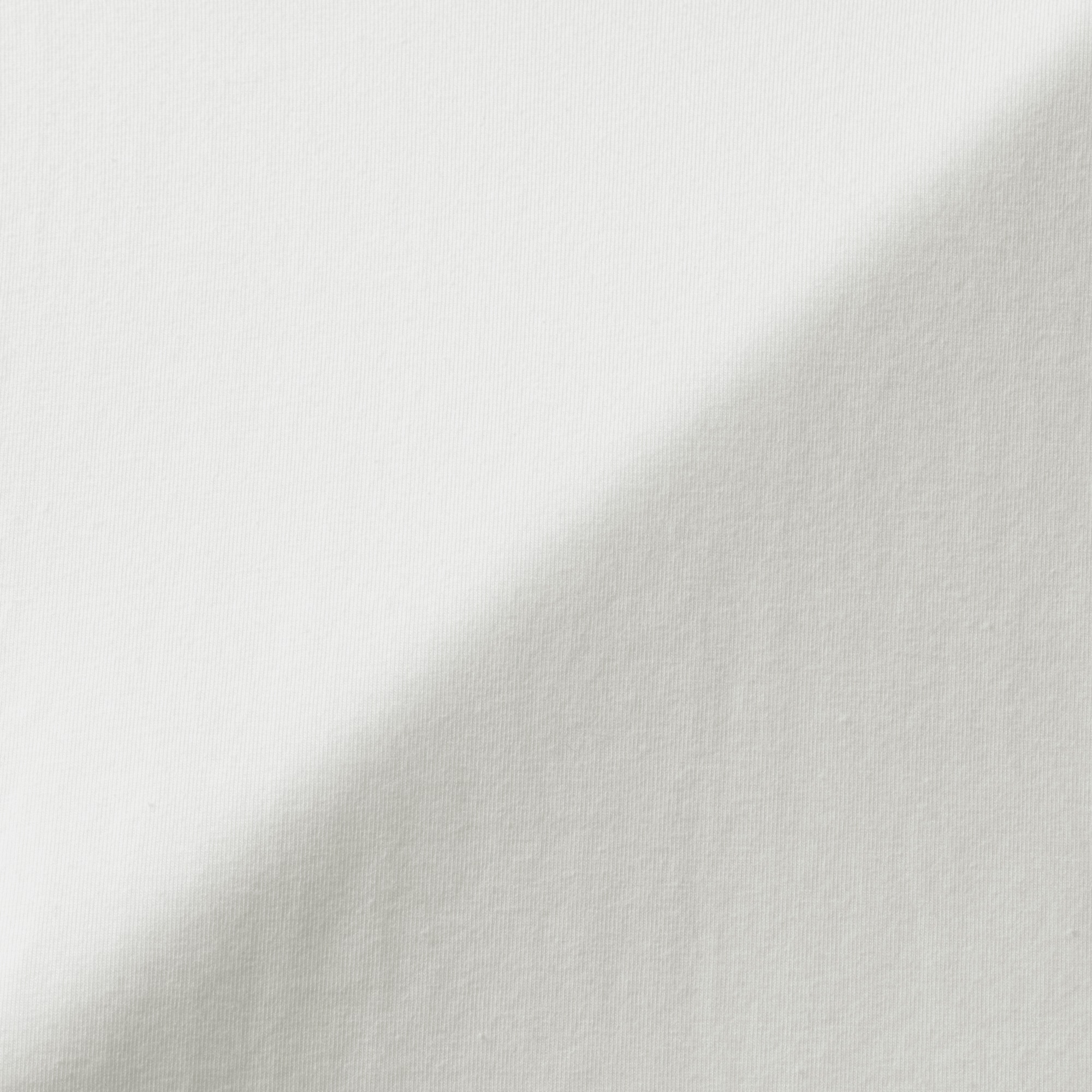 婦人　起毛フライス編みタートルネック長袖Ｔシャツ