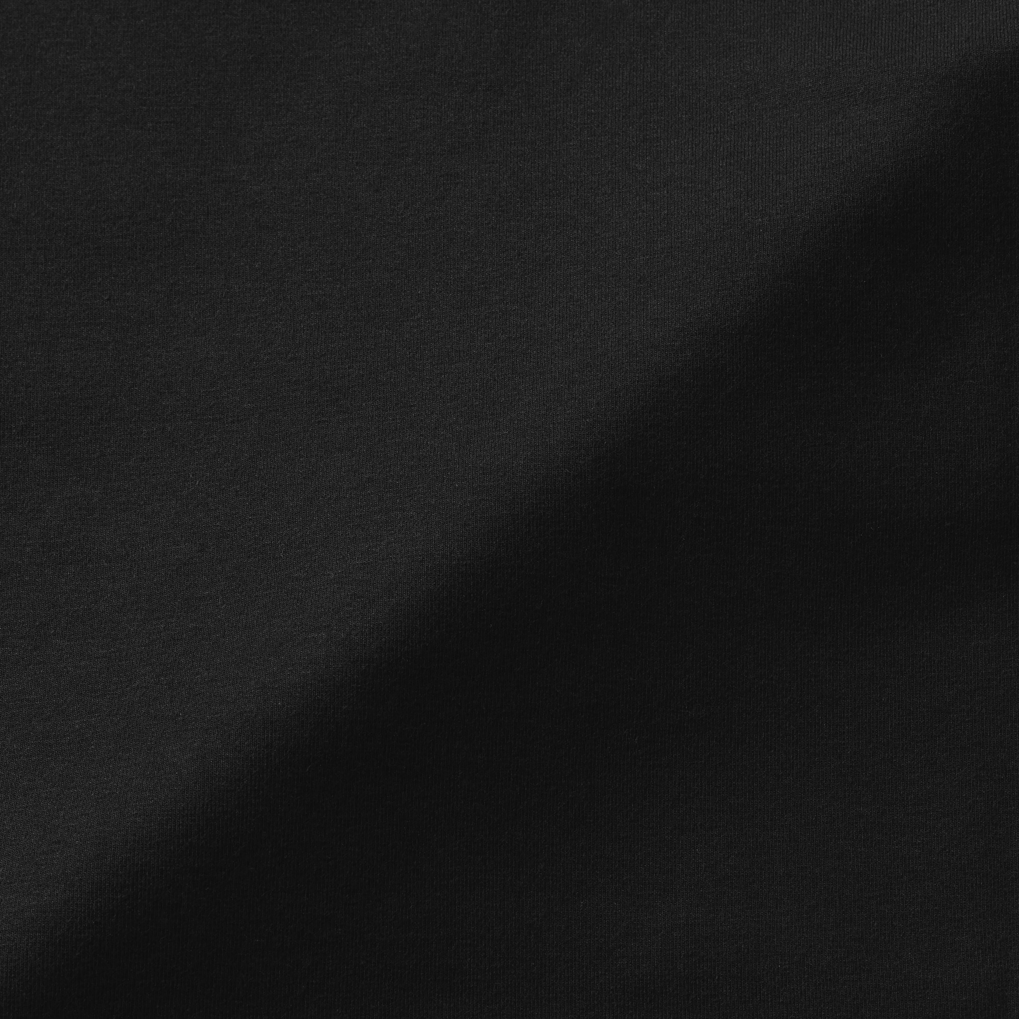 婦人　起毛フライス編みタートルネック長袖Ｔシャツ