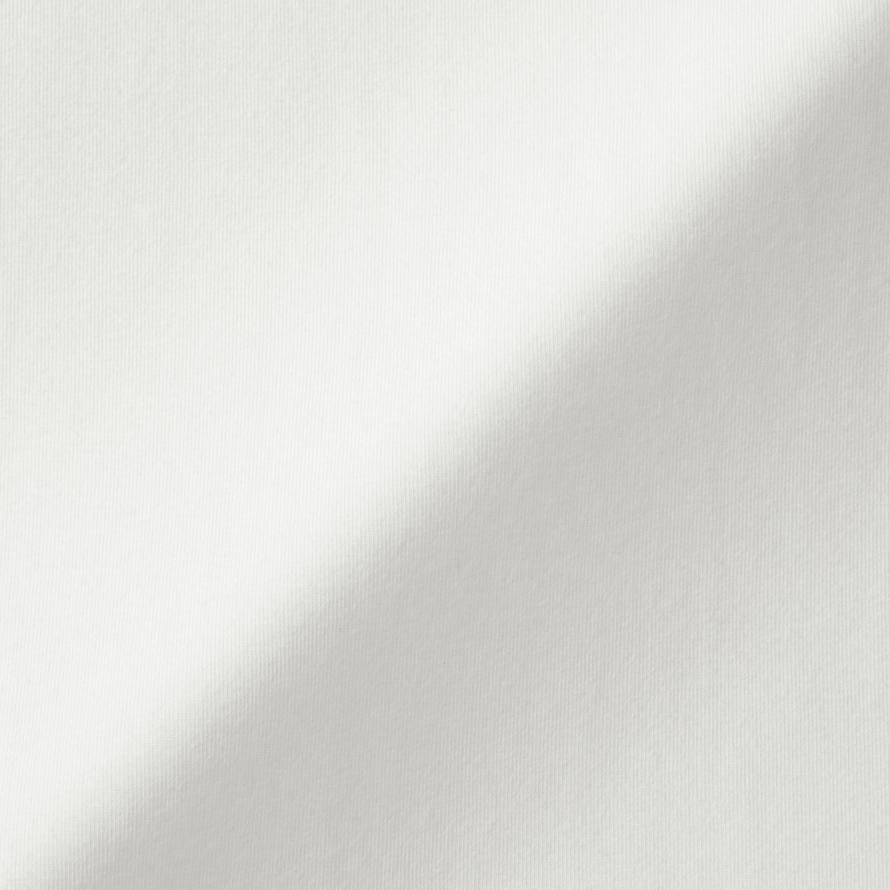 婦人　起毛フライス編みハイネック長袖Ｔシャツ