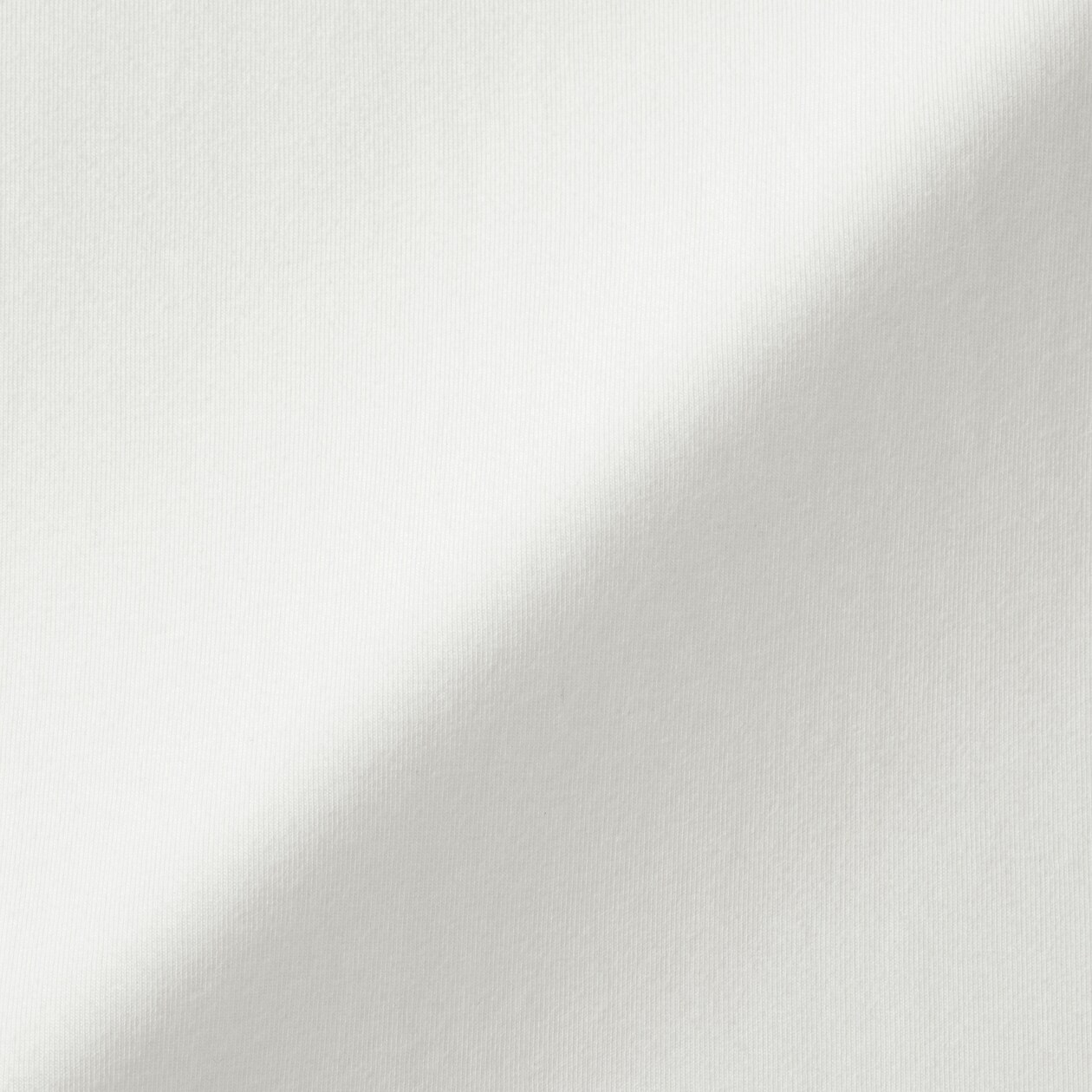 婦人　起毛フライス編みハイネック長袖Ｔシャツ