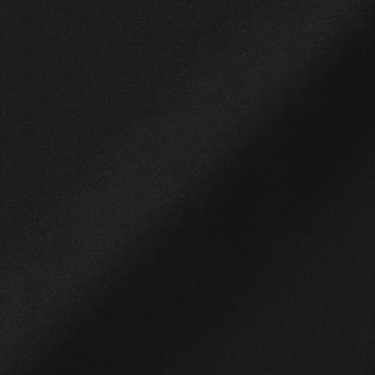 婦人　起毛フライス編みハイネック長袖Ｔシャツ