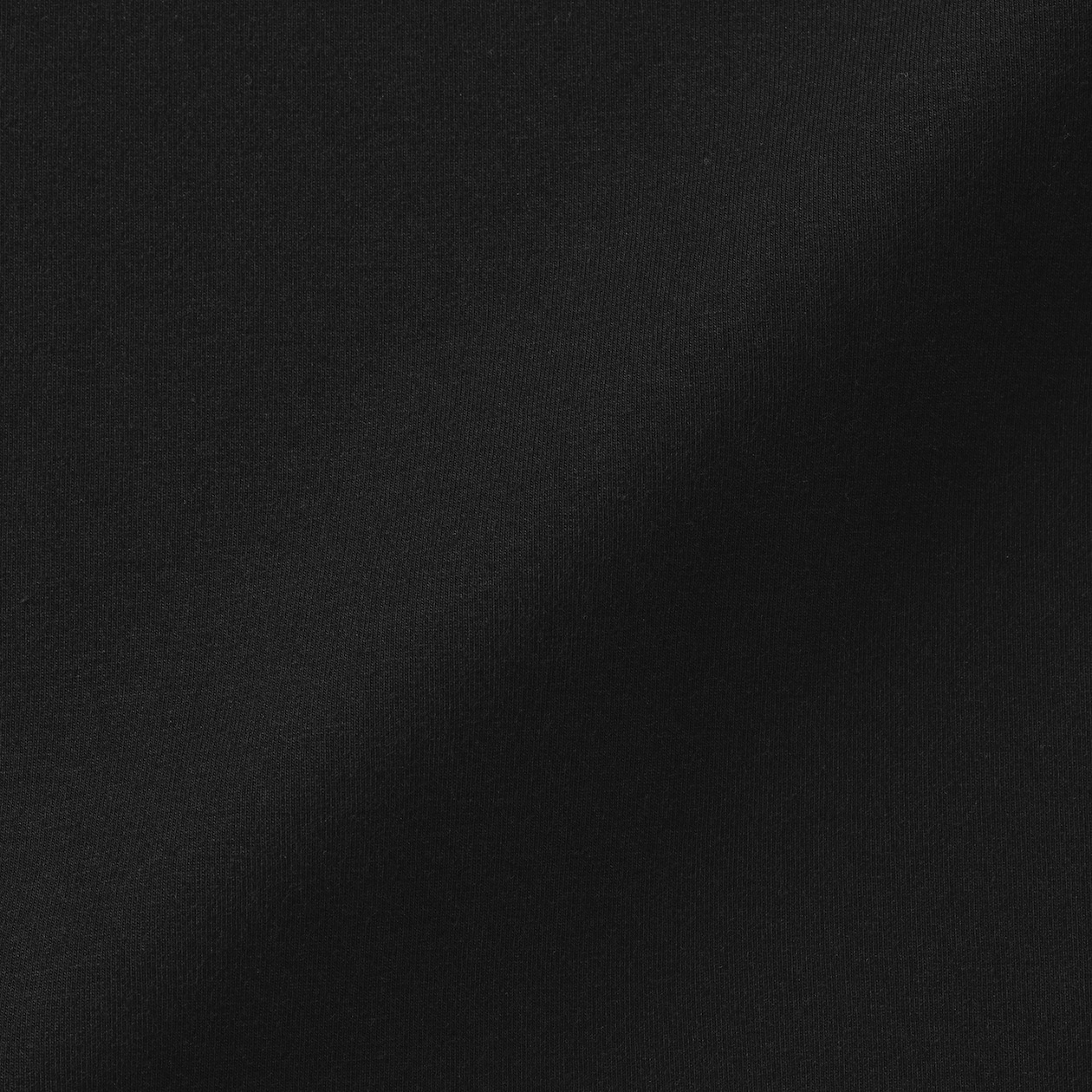 婦人　起毛フライス編みハイネック長袖Ｔシャツ