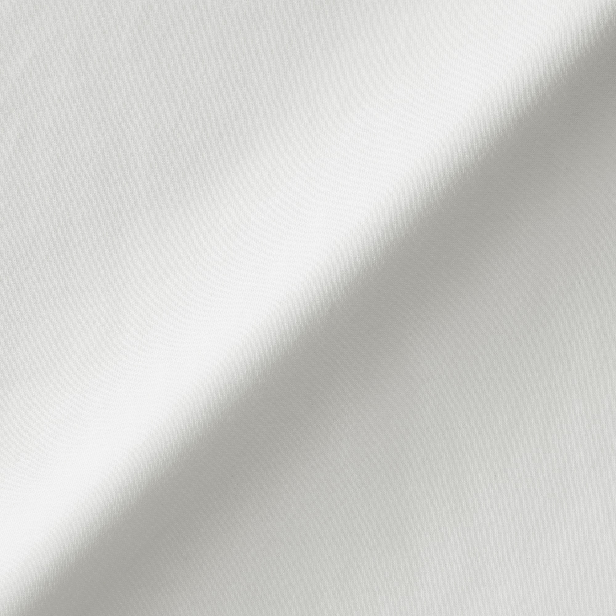 婦人　天竺編みフレンチスリーブＴシャツ