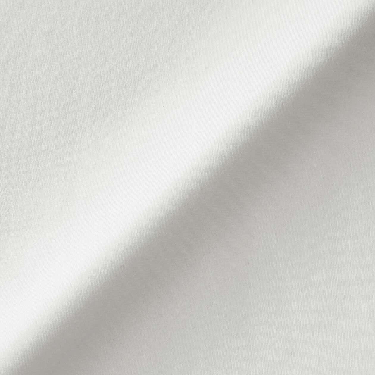 婦人　天竺編みフレンチスリーブＴシャツ