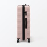 バーを自由に調節できる　ハードキャリーケース（７５Ｌ）