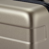 バーを自由に調節できる　ハードキャリーケース（３６Ｌ）