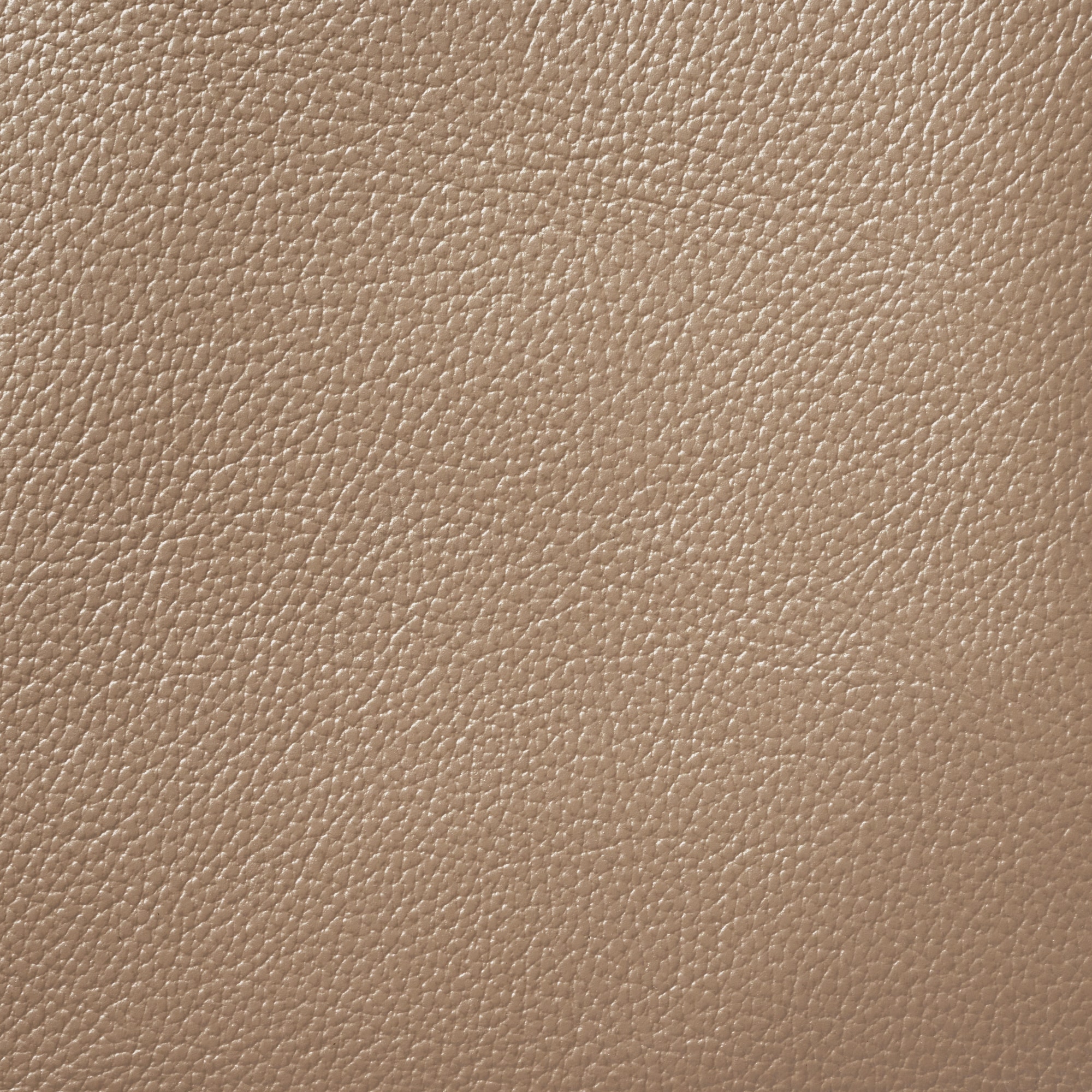 ヌメ革　ミニトートバッグ