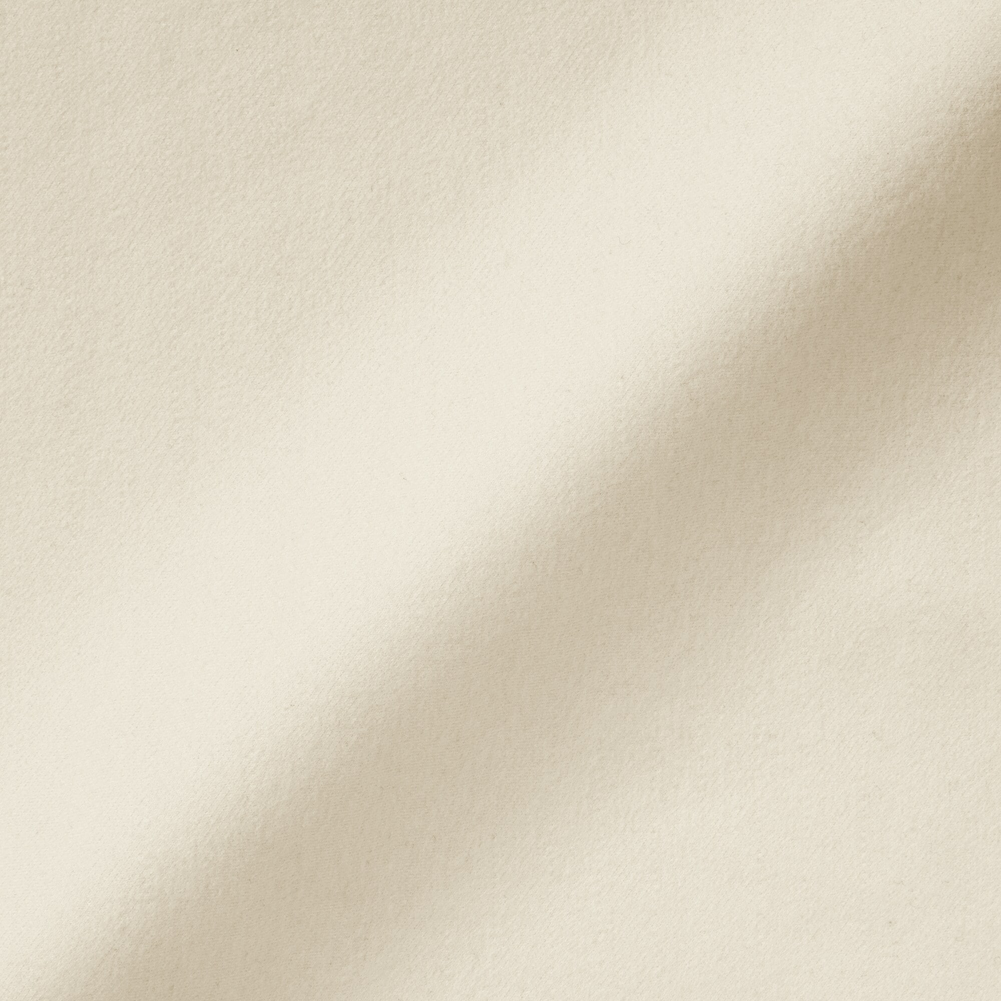 婦人　縦横ストレッチ起毛　タックワイドパンツ（Ｗｅｓｔｅｒｎ）